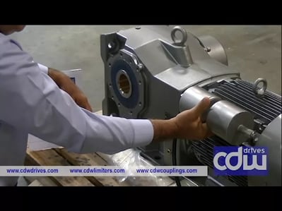 Gear Motor Custom Tandem Oil Expansion Chamber