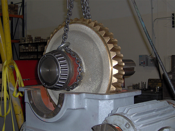 install replacement worm gear